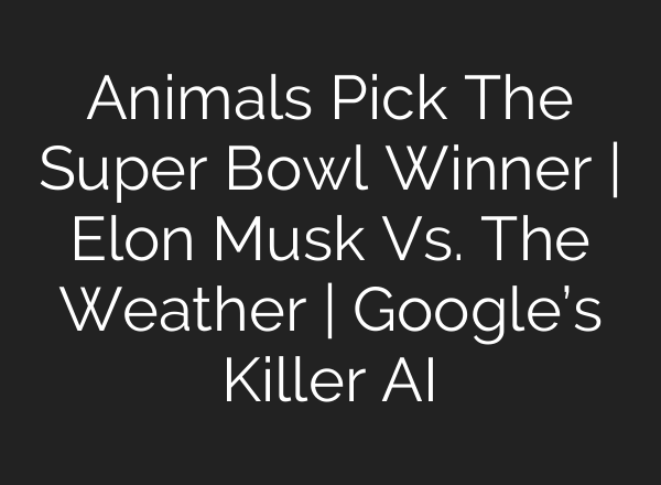 Animals Pick The Super Bowl Winner | Elon Musk Vs. The Weather | Google’s Killer AI