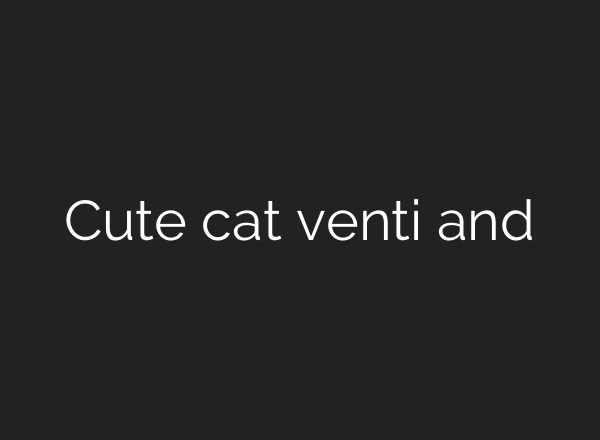 Cute cat venti and