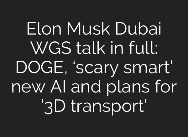 Elon Musk Dubai WGS talk in full: DOGE, ‘scary smart’ new AI and plans for ‘3D transport’
