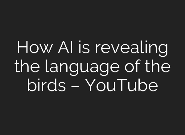 How AI is revealing the language of the birds – YouTube