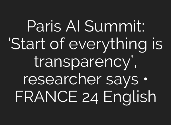 Paris AI Summit: ‘Start of everything is transparency’, researcher says • FRANCE 24 English