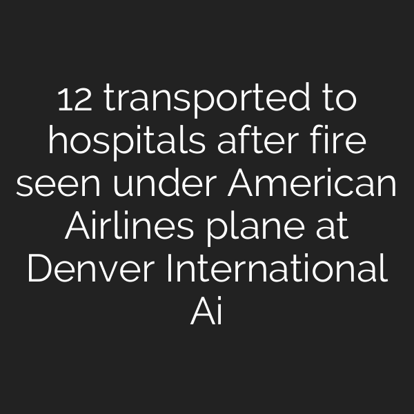 12 transported to hospitals after fire seen under American Airlines plane at Denver International Ai