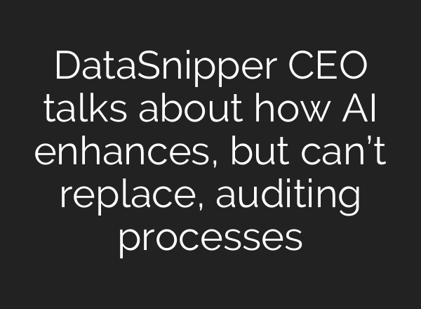 DataSnipper CEO talks about how AI enhances, but can’t replace, auditing processes