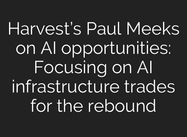 Harvest’s Paul Meeks on AI opportunities: Focusing on AI infrastructure trades for the rebound