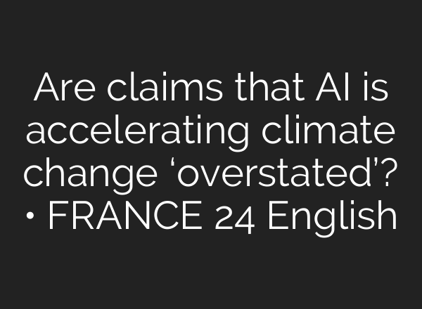 Are claims that AI is accelerating climate change ‘overstated’? • FRANCE 24 English