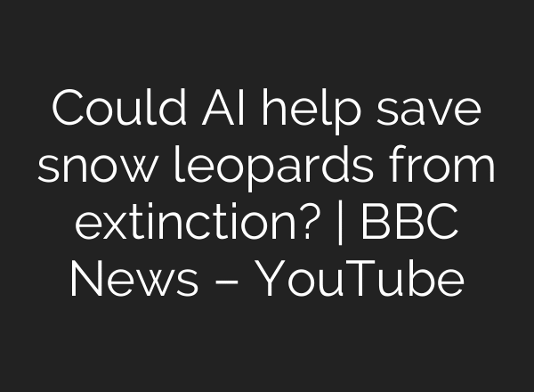 Could AI help save snow leopards from extinction? | BBC News – YouTube