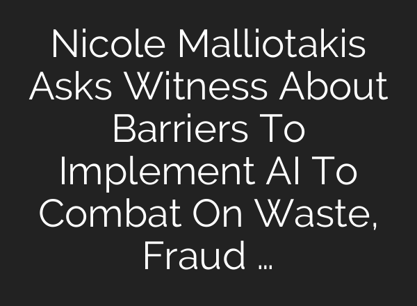 Nicole Malliotakis Asks Witness About Barriers To Implement AI To Combat On Waste, Fraud …