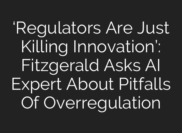 ‘Regulators Are Just Killing Innovation’: Fitzgerald Asks AI Expert About Pitfalls Of Overregulation