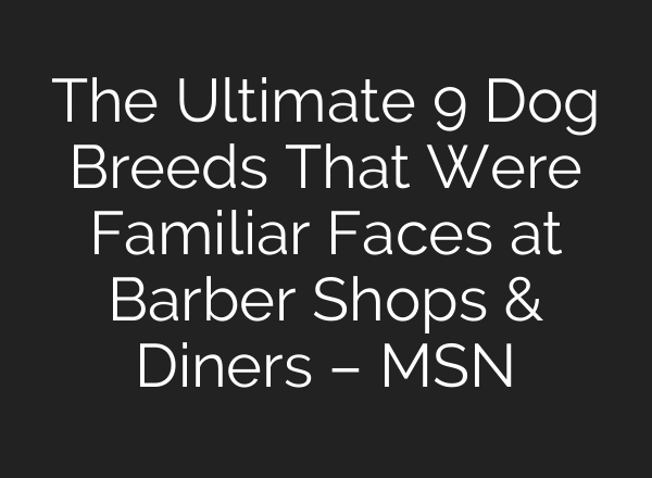 The Ultimate 9 Dog Breeds That Were Familiar Faces at Barber Shops & Diners – MSN