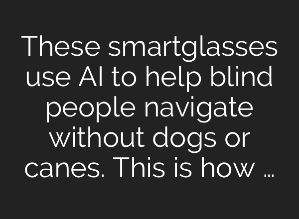 These smartglasses use AI to help blind people navigate without dogs or canes. This is how …