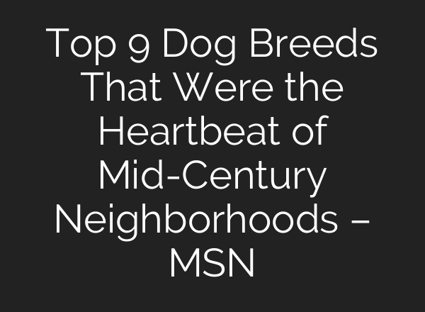 Top 9 Dog Breeds That Were the Heartbeat of Mid-Century Neighborhoods – MSN