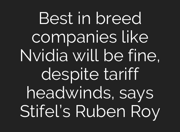 Best in breed companies like Nvidia will be fine, despite tariff headwinds, says Stifel’s Ruben Roy