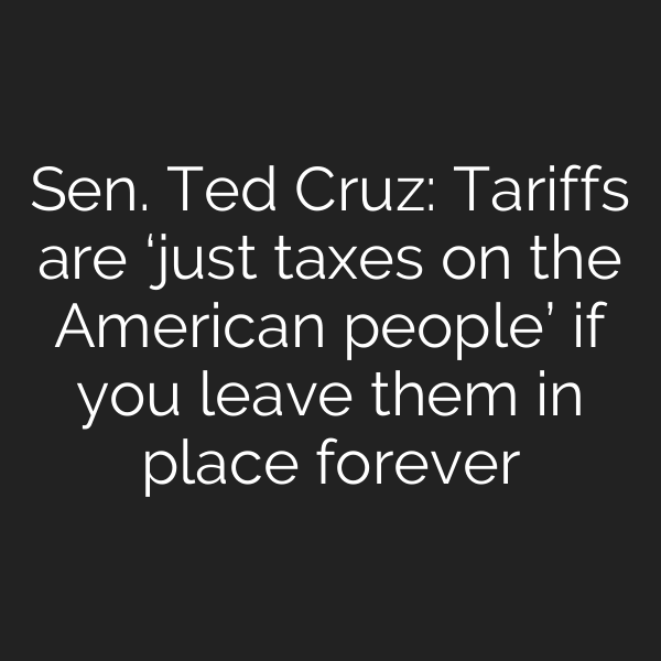 Sen. Ted Cruz: Tariffs are ‘just taxes on the American people’ if you leave them in place forever