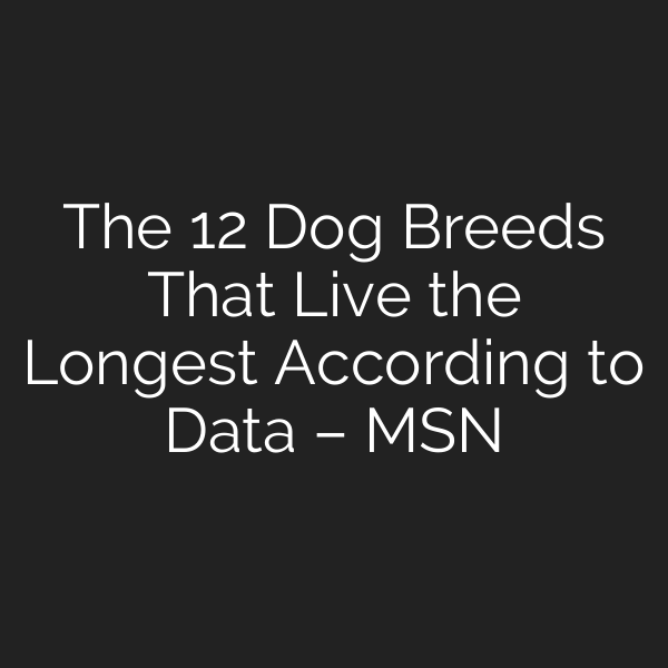 The 12 Dog Breeds That Live the Longest According to Data – MSN