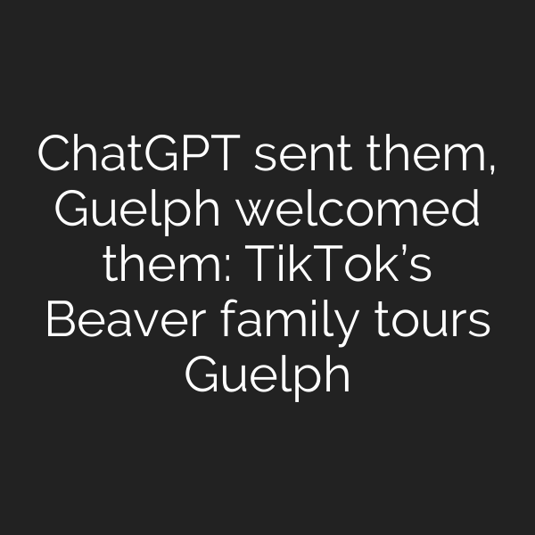 ChatGPT sent them, Guelph welcomed them: TikTok’s Beaver family tours Guelph