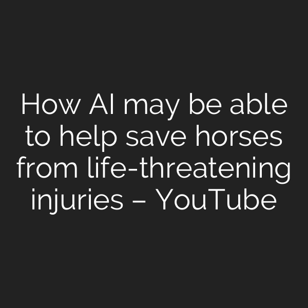 How AI may be able to help save horses from life-threatening injuries – YouTube