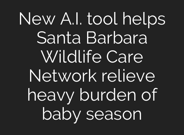 New A.I. tool helps Santa Barbara Wildlife Care Network relieve heavy burden of baby season