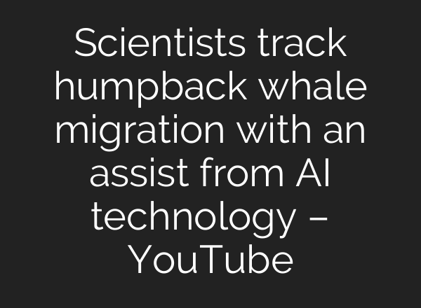 Scientists track humpback whale migration with an assist from AI technology – YouTube