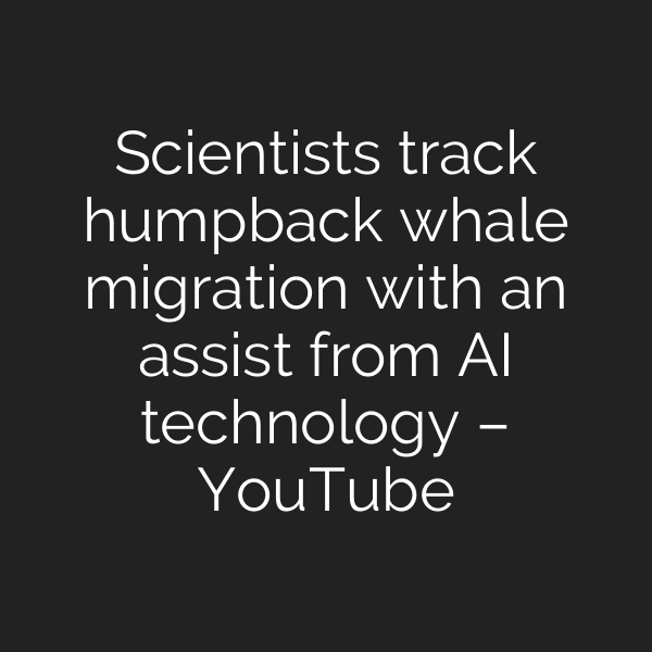 Scientists track humpback whale migration with an assist from AI technology – YouTube