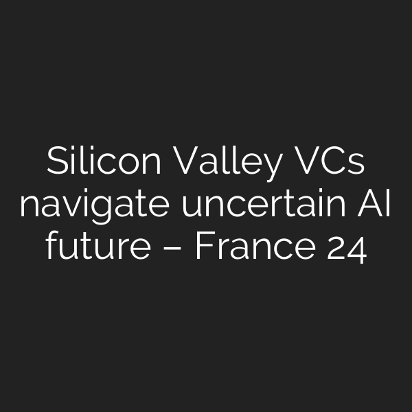 Silicon Valley VCs navigate uncertain AI future – France 24