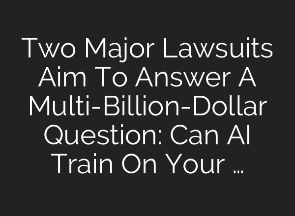 Two Major Lawsuits Aim To Answer A Multi-Billion-Dollar Question: Can AI Train On Your …