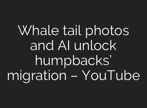 Whale tail photos and AI unlock humpbacks’ migration – YouTube