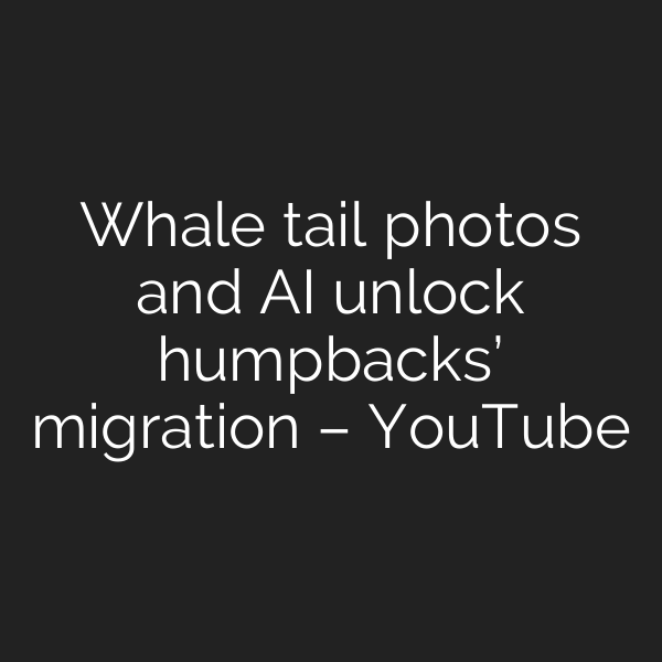 Whale tail photos and AI unlock humpbacks’ migration – YouTube