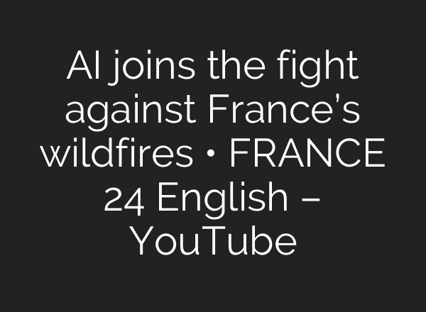 AI joins the fight against France’s wildfires • FRANCE 24 English – YouTube