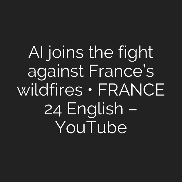 AI joins the fight against France’s wildfires • FRANCE 24 English – YouTube