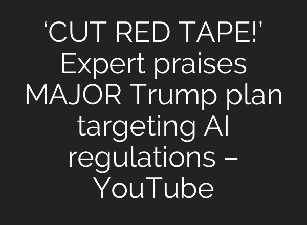 ‘CUT RED TAPE!’ Expert praises MAJOR Trump plan targeting AI regulations – YouTube