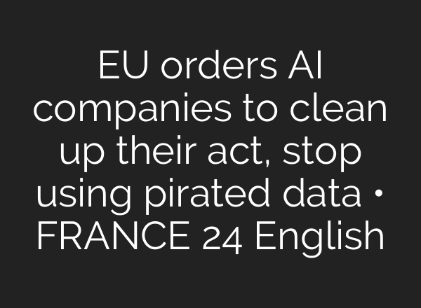 EU orders AI companies to clean up their act, stop using pirated data • FRANCE 24 English