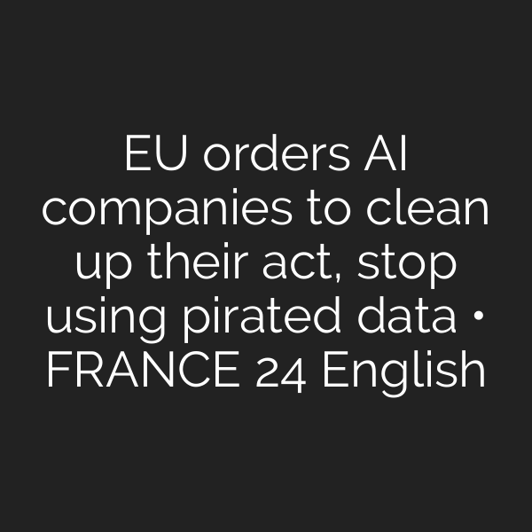 EU orders AI companies to clean up their act, stop using pirated data • FRANCE 24 English