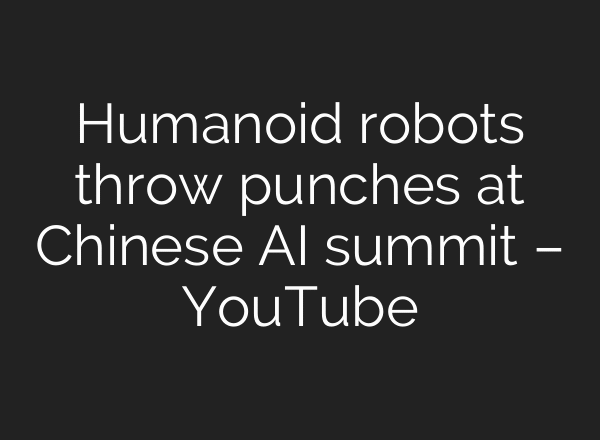 Humanoid robots throw punches at Chinese AI summit – YouTube