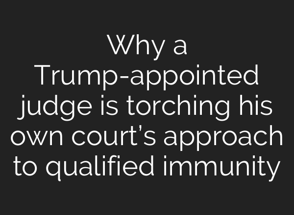 Why a Trump-appointed judge is torching his own court’s approach to qualified immunity