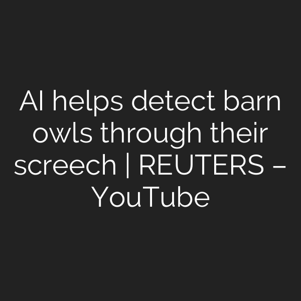 AI helps detect barn owls through their screech | REUTERS – YouTube
