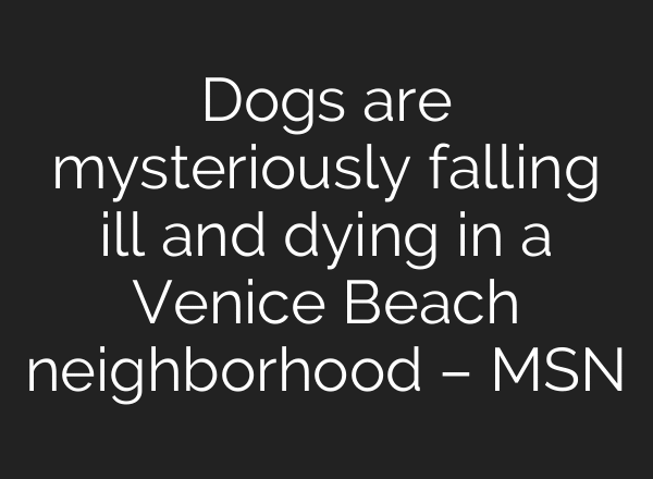 Dogs are mysteriously falling ill and dying in a Venice Beach neighborhood – MSN