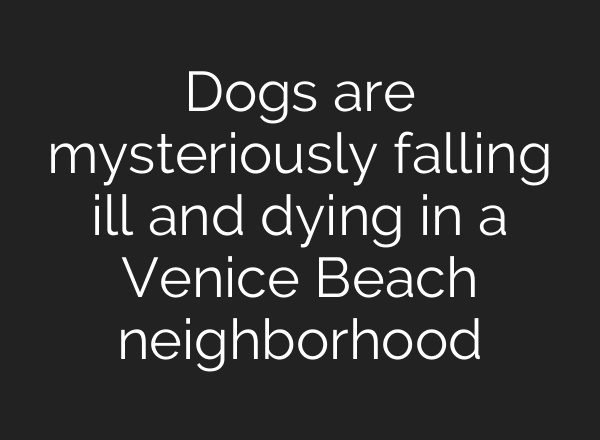 Dogs are mysteriously falling ill and dying in a Venice Beach neighborhood