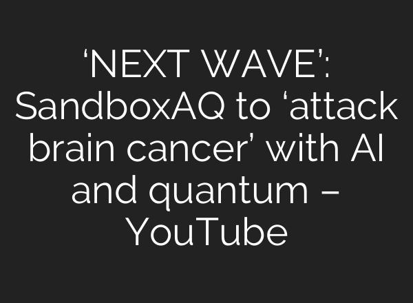‘NEXT WAVE’: SandboxAQ to ‘attack brain cancer’ with AI and quantum – YouTube