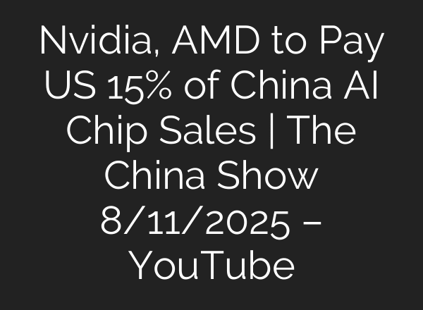 Nvidia, AMD to Pay US 15% of China AI Chip Sales | The China Show 8/11/2025 – YouTube