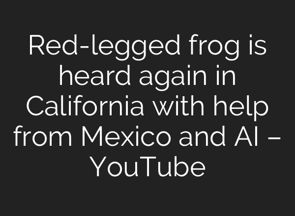 Red-legged frog is heard again in California with help from Mexico and AI – YouTube