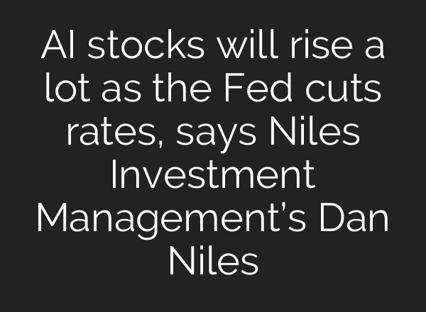 AI stocks will rise a lot as the Fed cuts rates, says Niles Investment Management’s Dan Niles