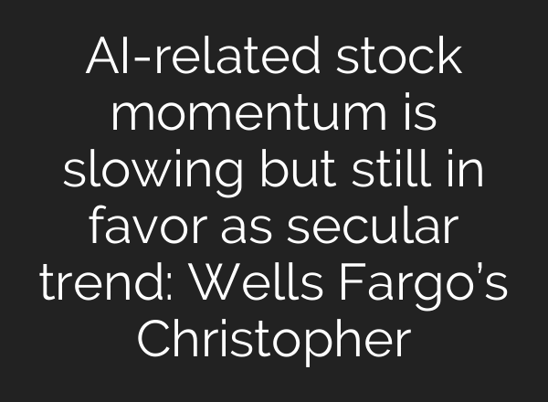 AI-related stock momentum is slowing but still in favor as secular trend: Wells Fargo’s Christopher