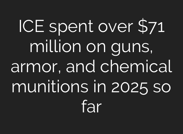 ICE spent over $71 million on guns, armor, and chemical munitions in 2025 so far