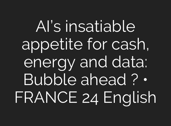 AI’s insatiable appetite for cash, energy and data: Bubble ahead ? • FRANCE 24 English