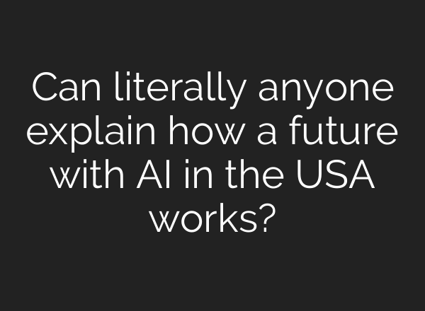 Can literally anyone explain how a future with AI in the USA works?
