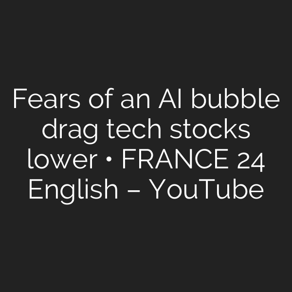 Fears of an AI bubble drag tech stocks lower • FRANCE 24 English – YouTube