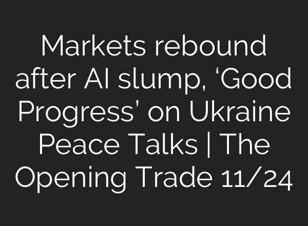 Markets rebound after AI slump, ‘Good Progress’ on Ukraine Peace Talks | The Opening Trade 11/24