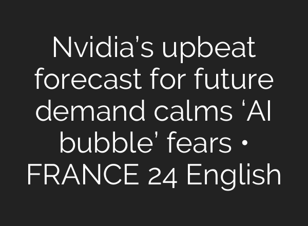 Nvidia’s upbeat forecast for future demand calms ‘AI bubble’ fears • FRANCE 24 English