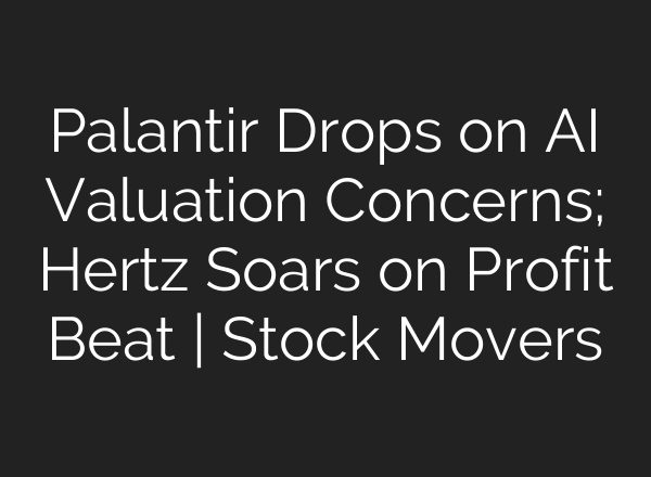 Palantir Drops on AI Valuation Concerns; Hertz Soars on Profit Beat | Stock Movers