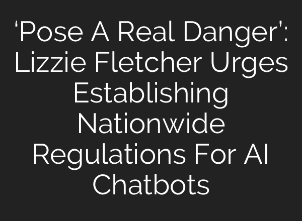 ‘Pose A Real Danger’: Lizzie Fletcher Urges Establishing Nationwide Regulations For AI Chatbots
